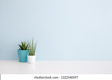 Houseplants In Flowerpots On A Table Near Bright Blue Wall