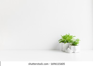 Houseplants in marble flowerpots on a table near bright white wall.