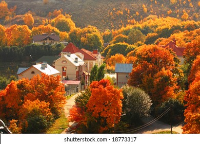 Houses among the autumnal trees. Sun weather.