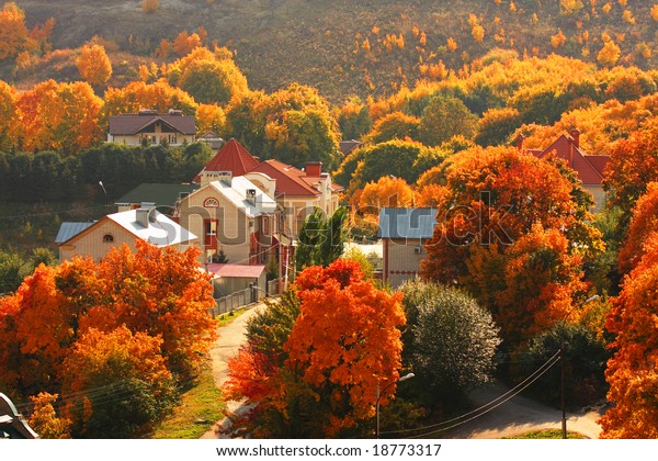 papoose autumn trees