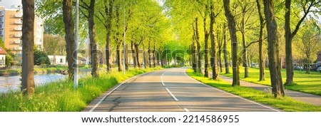 Houses, bicycle road, pedestrian walkway and canal. Green trees, alley. Spring in Leiden, the Netherlands. Nature, landscaping, recreation, leisure activity, cycling, nordic walking, lifestyle