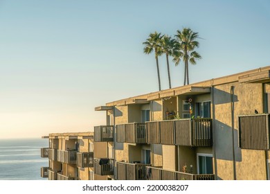 Houses Exterior Against Sea Sky And Palm Trees At Del Mar Southern California