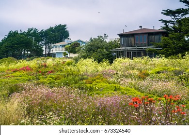 Houses In Moss Beach, San Francisco Bay Area, California