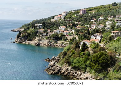 Houses on a hill near the sea