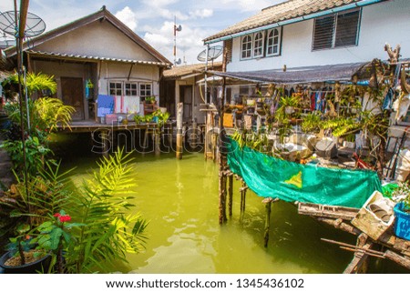 Houses on stilts in the water. Village on the water. Houses of locals. Tropical greenhouse. Exotic countries. Travels.