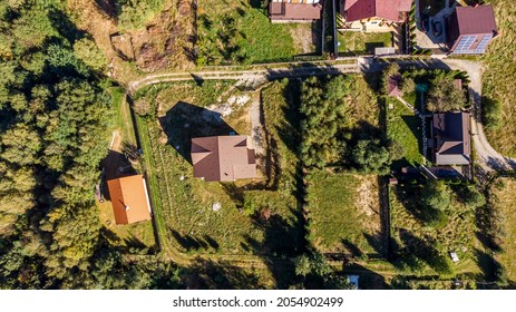 Houses In Suburb With Leafy Green Trees Overhead, Perspective Roof Tops.