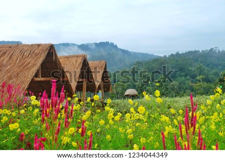 The houses are surrounded by valleys and colorful flowers.