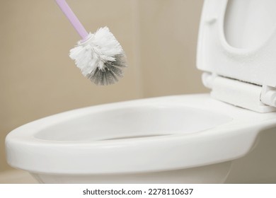 Housewives use a brush to clean the bathroom to remove dirt and take care of sanitary ware. - Shutterstock ID 2278110637