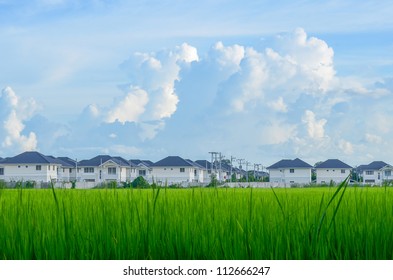 Housing Estate In Field And The Blue Sky