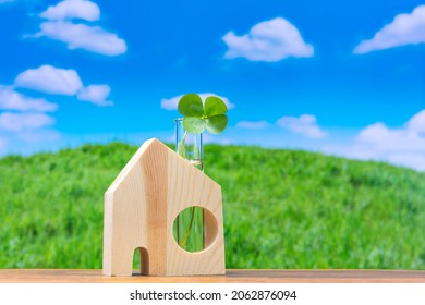 Housing Related Concept, Miniature Wooden House. Marsilea Mutica (Four Leaf Water Clover), Nardoo, Water Clover. 