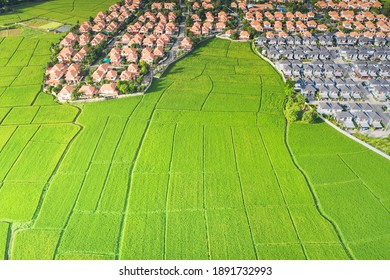 Housing Subdivision Or Housing Development. Also Call Tract Housing Consist Of House And Construction Site In Large Tract Of Land That Divided Into Smaller. Business Process By Developer And Builder.