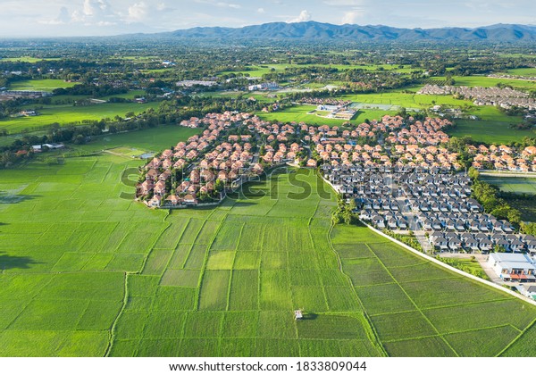 Housing subdivision or housing development.\
Also call tract housing. Large tract of land that divided into\
smaller. Business process by developer and builder. Aerial view in\
Chiang Mai of Thailand.