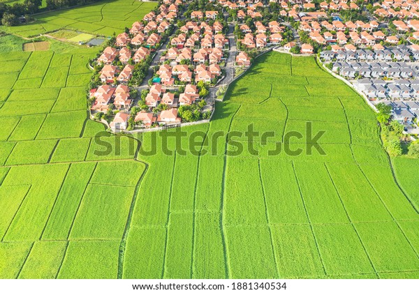 Housing subdivision or housing development. Also\
call tract housing consist of house and construction site in large\
tract of land that divided into smaller. Business process by\
developer and builder.