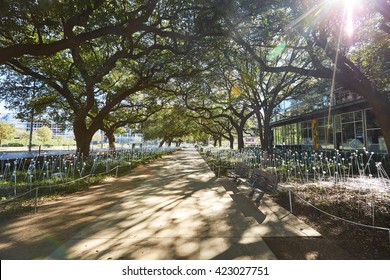 Houston Discovery Green Park In Downtown Texas