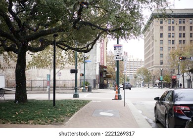 Houston, Tx- USA December 31,2019. Christmas Lights On Oak Trees In A Park Downtown.