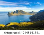 Hout Bay Coastal mountain landscape with fynbos flora in Cape Town, South Africa