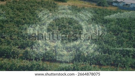 Hovering translucent interface overlay mapping orchard canopy, with fruit trees and grass pathways. Agriculture, technology, precisionfarming, droneview, sustainable, innovation, dataanalytics
