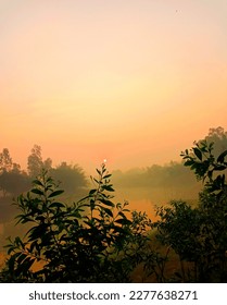 how the clime scenery is! Natural beauty of Bangladesh💛 - Shutterstock ID 2277638271