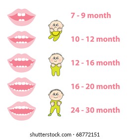 how to grow your baby's teeth