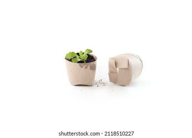 how to make biodegradable mini plants from toilet paper roll, seedling in paper tube pots, recycling craft ideas for kids, creative project