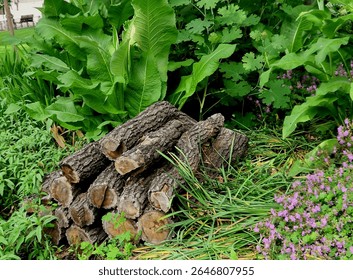 how to make an insect-friendly bug hotel that offers bees, lacewings, and solitary wasps a place to nest and spend winter, Crevices in bark, holes in dead wood, piles of fallen leaves, gaps between 