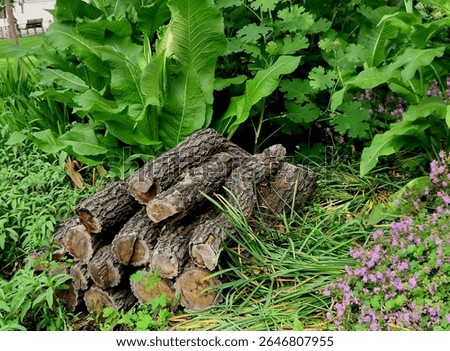 how to make an insect-friendly bug hotel that offers bees, lacewings, and solitary wasps a place to nest and spend winter, Crevices in bark, holes in dead wood, piles of fallen leaves, gaps between 