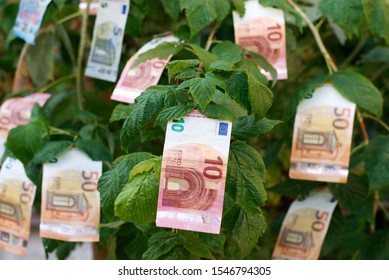 Amount Investment Images Stock Photos Vectors Shutterstock