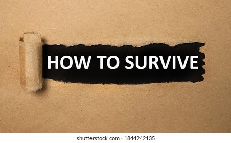 How To Survive, Text On Black Paper On Torn Craft Paper