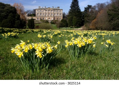 Howick Hall Gardens