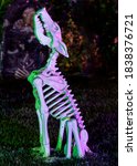 Howling Dog Skeleton Glowing in the Dark. Halloween Decoration in Willow Glen, San Jose, California
