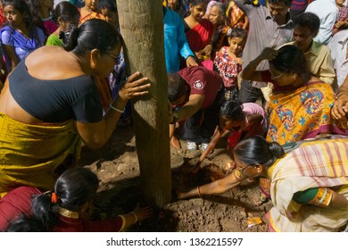 HOWRAH,WEST BENGAL, INDIA - APRIL 15TH, 2018 : Women Praying To Wood - During Gajan And Charak Puja-a Hindu Festival. Lord Shiva, Neel And Dharmathakur Are Worshipped. Ends Before Bengali New Year.