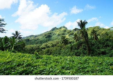 Huahine Island - Inner Mountains