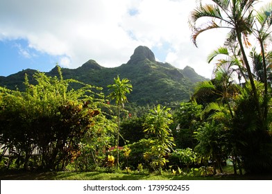 Huahine Island Mountain And Jungle