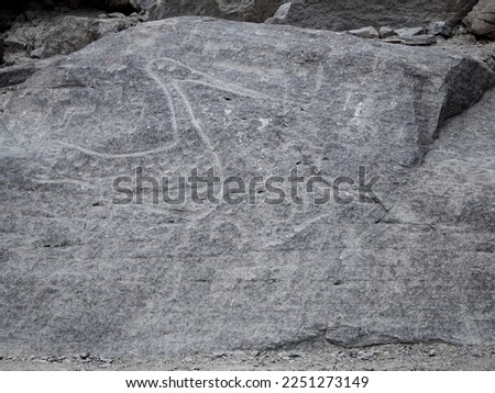 huancor petroglyphs, bird figures carved in rock, spheres, circles, ancient culture, Peru, South America