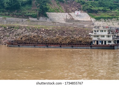 Huangqikou, Chongqing, China - May 8, 2010: Yangtze River. Barge Filled To The Top With Brown Wooden Trunks On Brown Water Along Gray Dirt And Concrete Slope Of Shoreline