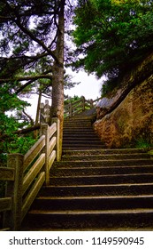 Huangshan Stone Stairs and Pine Trees. Located at Anhui province China, Huangshan is a UNESCO World heritage site and one of China's major tourist destinations. 
