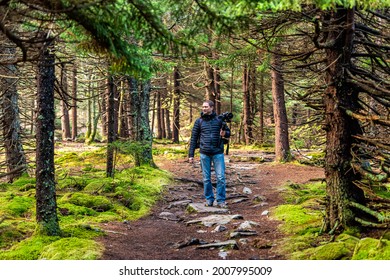 Huckleberry Trail With Photographer Man Hiking In Moss Forest In Spruce Knob Mountain Fall Autumn Season With Morning Sunlight In West Virginia