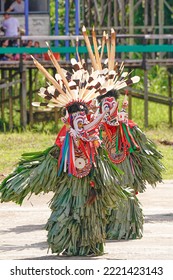 Hudoq Is Traditional Dance Dayaknesse In Borneo