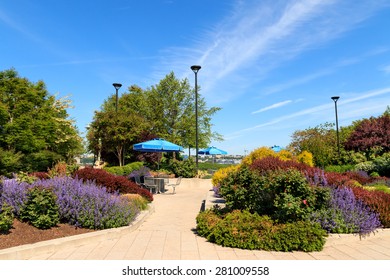 Hudson River Park Spring - NYC