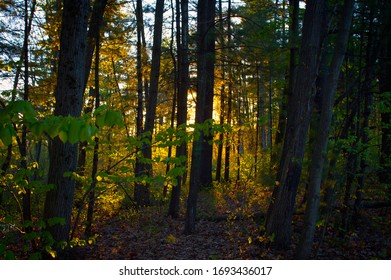 Hudson River Upstate New York Adirondacks