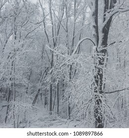 A Hudson Valley’s Spring Winter Storm