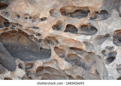 Hueco Tanks And An Eagle Flying