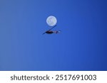 Huey helicopter and full moon 