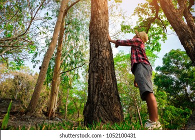 Umarmen Sie einen großen Baum, der die Verbindung zwischen Mensch und Natur symbolisiert. Konzept Natur und Menschen.