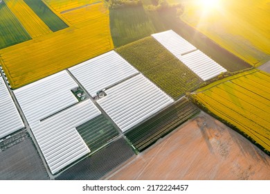 Huge areas of greenhouses for growing vegetables and fruits. Greenhouse farming in the fields, agriculture. - Powered by Shutterstock