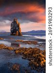 Huge basalt stack Hvitserkur on the eastern shore of the Vatnsnes peninsula. Colorful summer sunrise in northwest Iceland, Europe. Artistic style post processed photo.