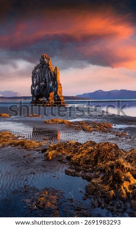 Huge basalt stack Hvitserkur on the eastern shore of the Vatnsnes peninsula. Colorful summer sunrise in northwest Iceland, Europe. Artistic style post processed photo.