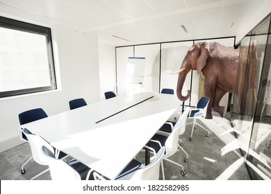Huge big elephant entering the office meeting room - business negotiation concept