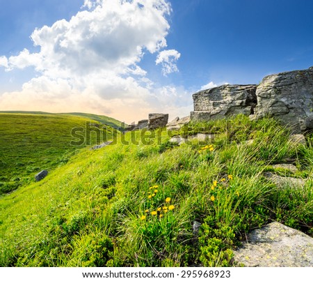 Similar – Image, Stock Photo Dandelion, huge Nature