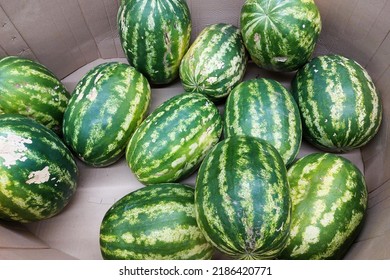 Huge Box Of Watermelons In Supermarket.